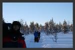 Alistair Batey Television: Husky Trail